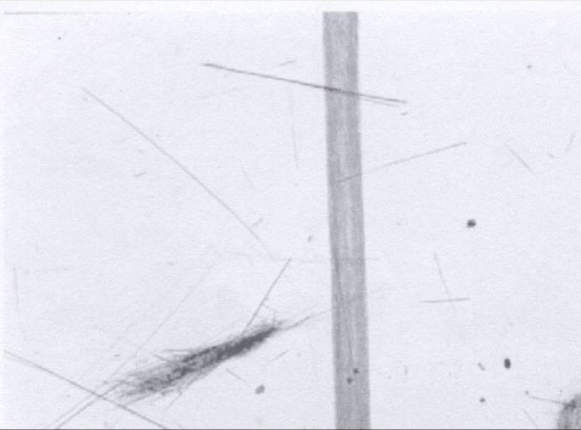 Vue au microscope : un cheveu humain, large bande verticale, à côté de fibres de chrysotile à peine visibles